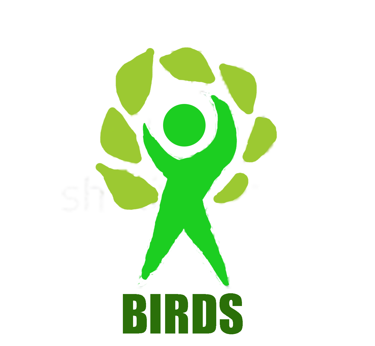 Basic Integrated Rural Development Society (Birds)