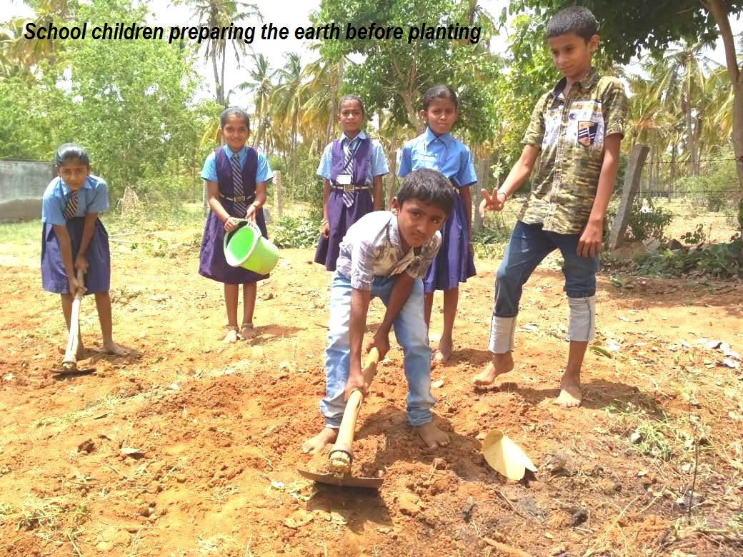 /media/cf/Children_doing_earthwork_at_school_plantation_28.11.2019_caption.jpg